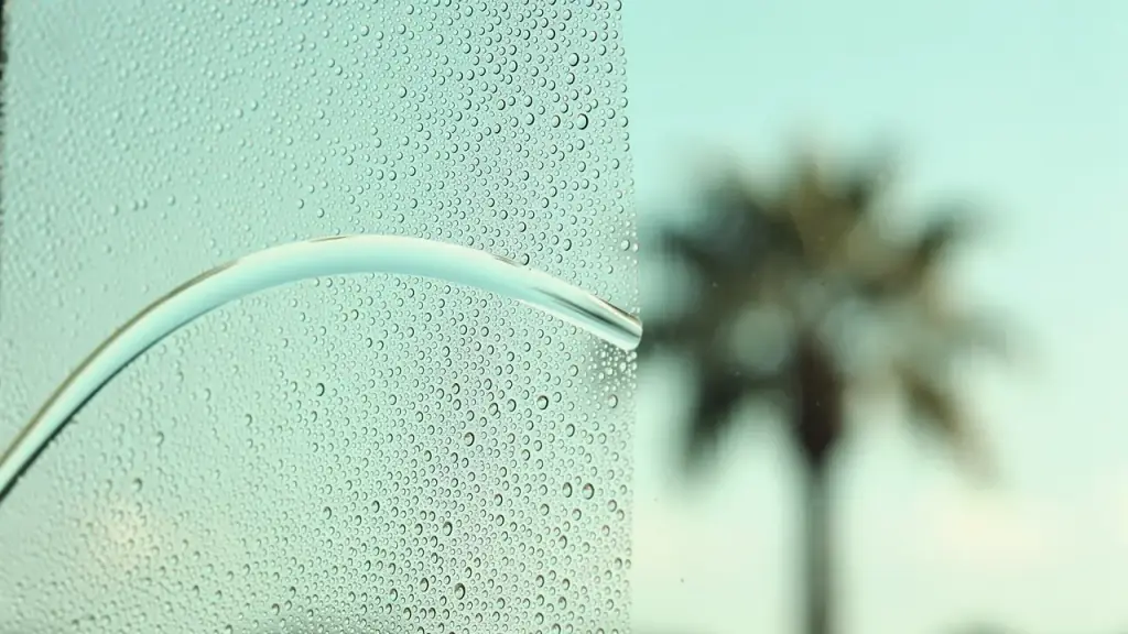 One clean curved squeegee pass cutting through beaded water on a window, a palm blurred in the sky behind